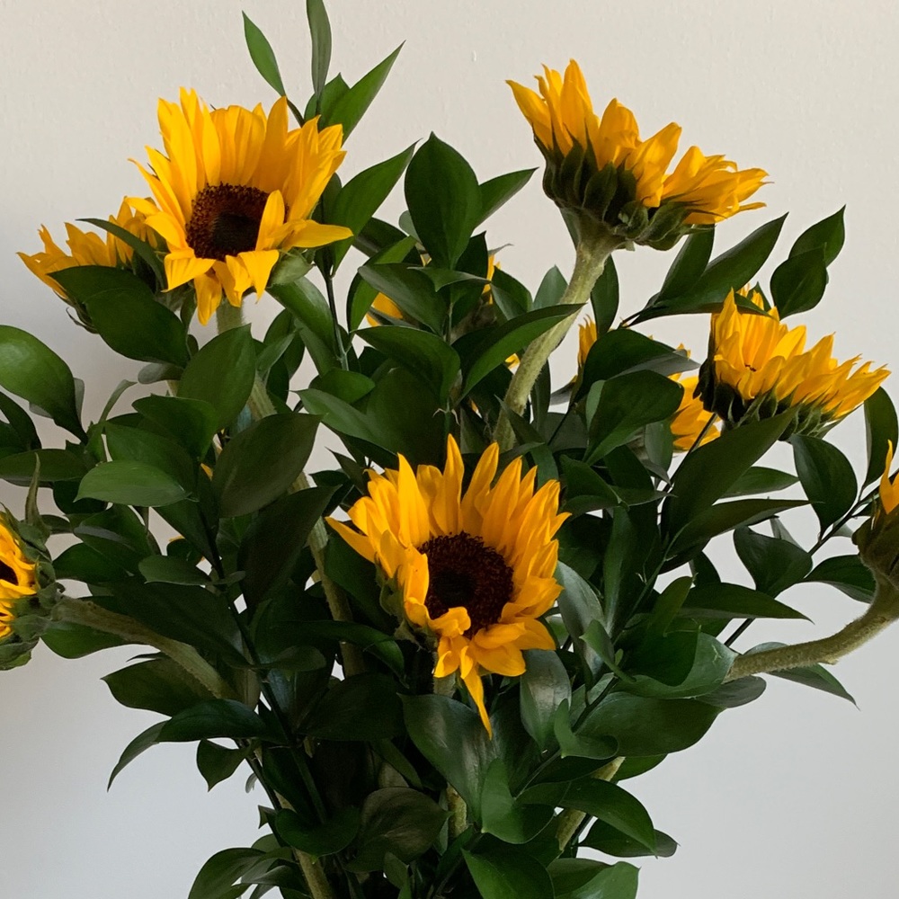 Meet your Posher, Kajeen